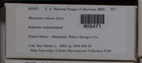 Image Associated With the Occurence